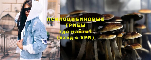 прущие крисы Няндома