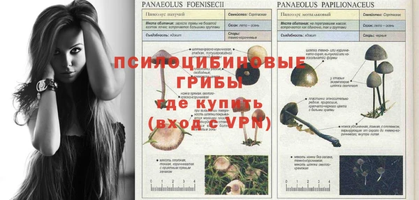 кокаин премиум Новозыбков