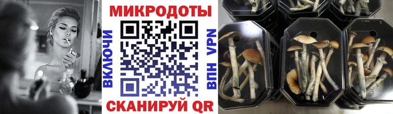 Галлюциногенные грибы MAGIC MUSHROOMS  Курлово 